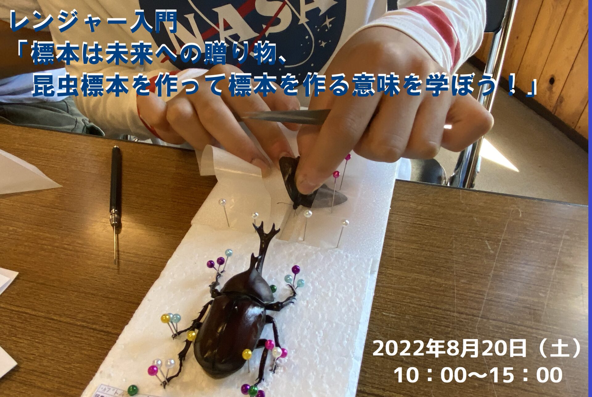 レンジャー入門「標本は未来への贈り物、昆虫標本を作って標本を作る意味を学ぼう！」(北杜市)